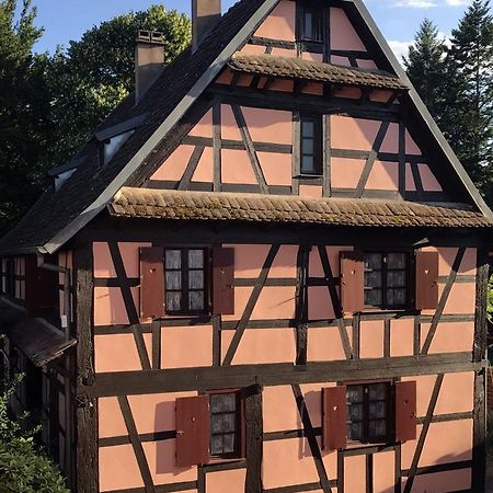 Maison Alsacienne Eschau Luaran gambar