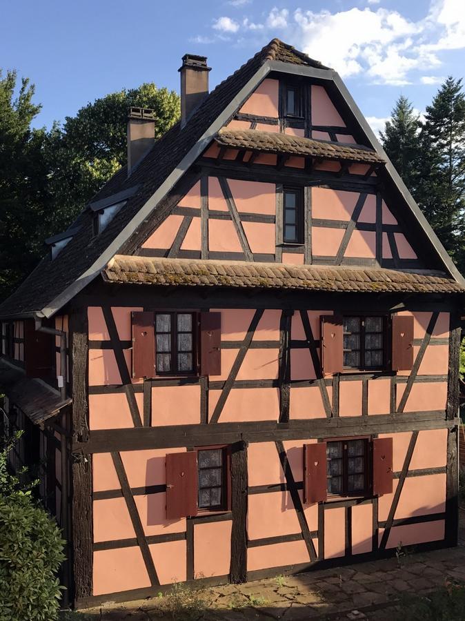 Maison Alsacienne Eschau Luaran gambar